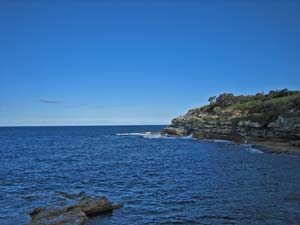 �V��������̌i�F