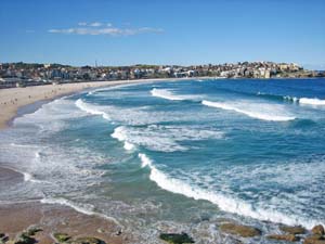 Bondi Beach�i�{���_�C�E�r�[�`�j�̐�������B�e 1 