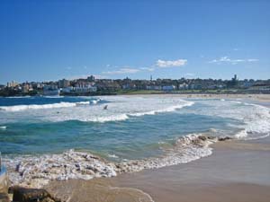 Bondi Beach�i�{���_�C�E�r�[�`�j�̓�������B�e 2 
