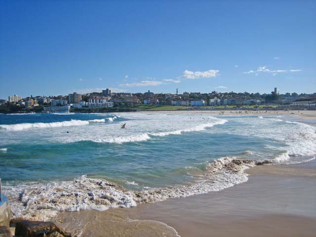 Bondi Beach�i�{���_�C�E�r�[�`�j�̓�������B�e 2 
