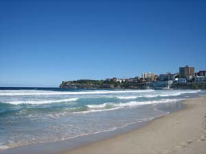 Bondi Beach�i�{���_�C�E�r�[�`�j�̓�������B�e 3 