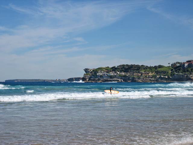 Bondi Beach�i�{���_�C�E�r�[�`�j�̃T�[�t�{�[�h������Ă���l