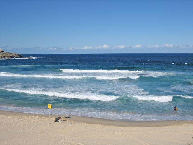 Bondi Beach�i�{���_�C�E�r�[�`�j�̔g�ł��� 2 