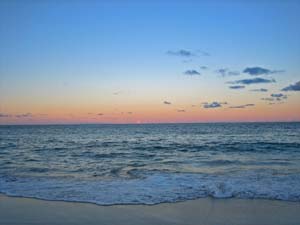 Coogee Beach�i�N�[�W�[�E�r�[�`�j�̗[�Ă�