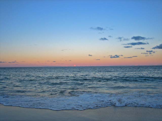 Coogee Beach�i�N�[�W�[�E�r�[�`�j�̗[�Ă�