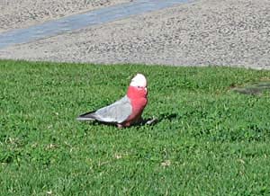 �ς������