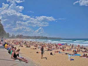 Manly Beach�i�}�����[�E�r�[�`�j�ŊC����������l�X 2 