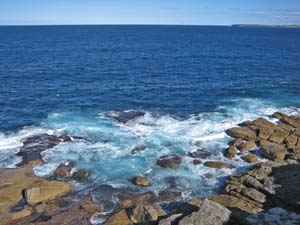 Sam Fiszman Park�i�T���E�t�B�b�c�}���E�p�[�N�j���猩�������m