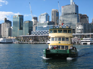 �V�h�j�[�̒��ƃt�F���[