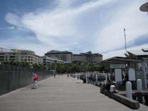 Pyrmont Bay�i�s�A�����g�E�x�C�j�ƃJ�W�m�i���j