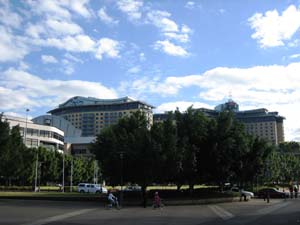 �X�^�[�V�e�B�J�W�m�̊O��