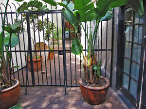 �g�C��������ꏊ