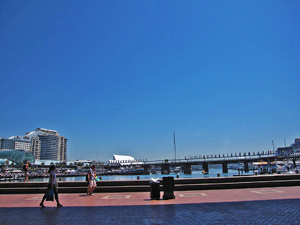 �I�[�v���e���X����̒���