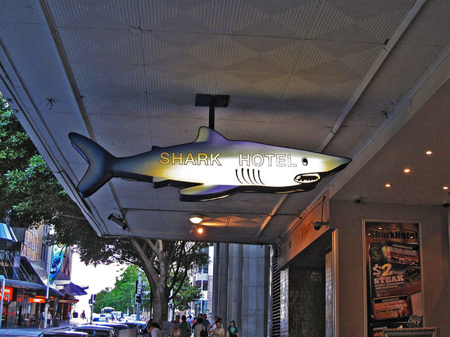 �V���[�N�z�e���iShark Hotel�j-�����ɂ���Ŕ�