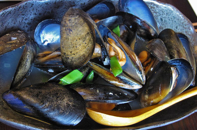 �F���iSATSUMA�j-���[���L